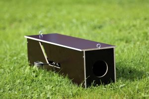 Conibear Trapbox + Conibear 120-2  5 pcs