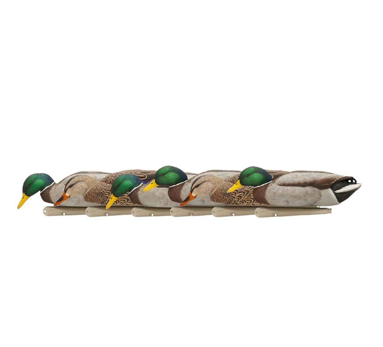 Avian-X Back Water Mallards