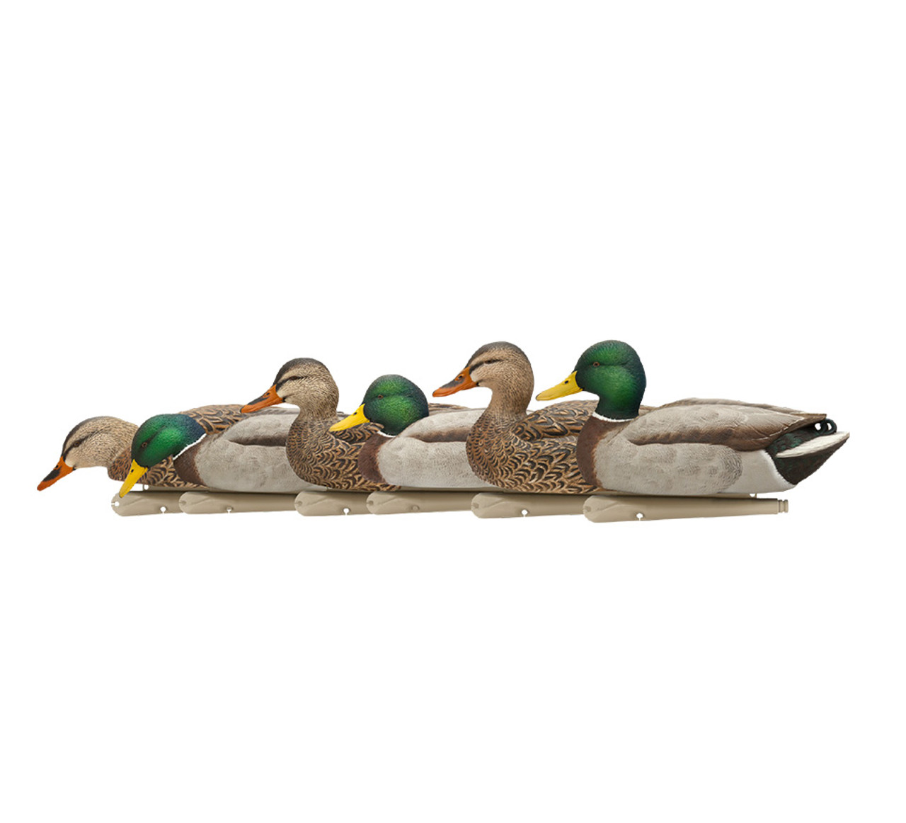 Avian-X Fusion Mallards