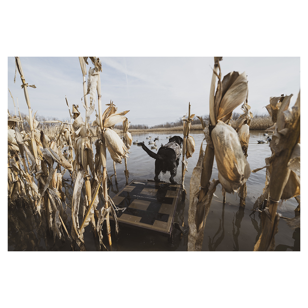 Alps Outdoorz Hybrid Dog Stand - Image 2