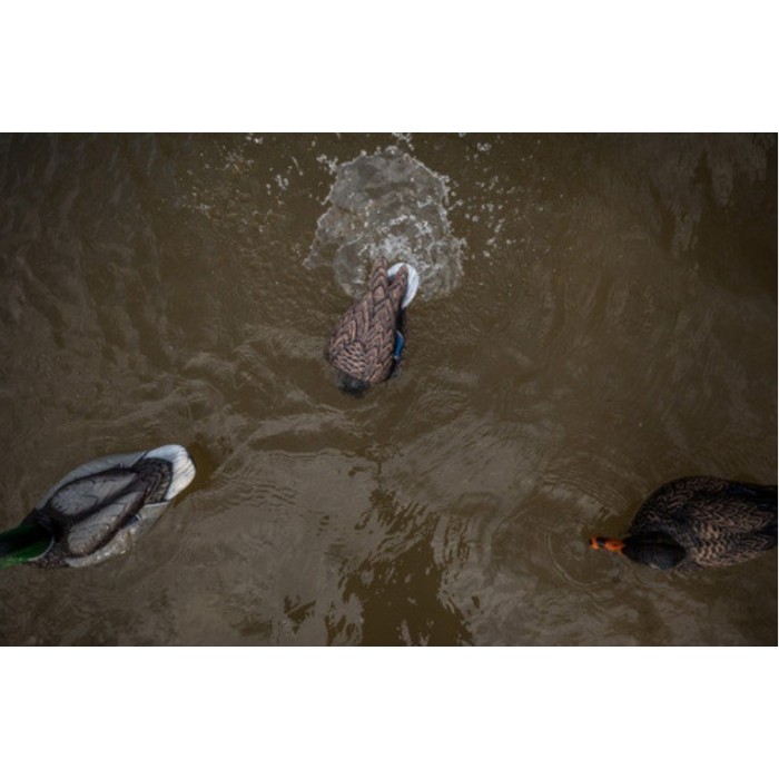 Lucky Agitator 2.0 Motion Decoy – Bild 5