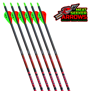 Easton Carbon Aftermath 300 Arrows  With Blazer Vanes Custom Made Set of 12