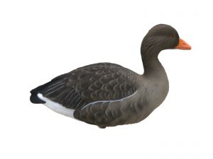 Decoys and Game Calls